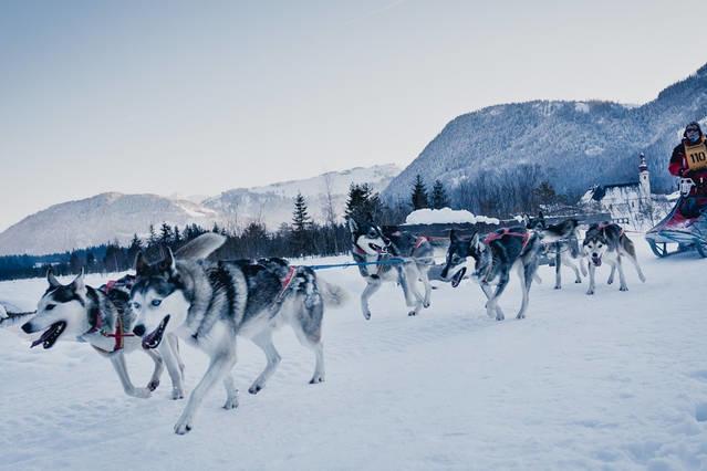 Zu Hause In Tirol Kirchbichl Exterior foto